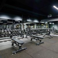 Гантельный ряд профессиональный (шаг 2,5 кг, 5 пар) PROFI-FIT 40-50 кг