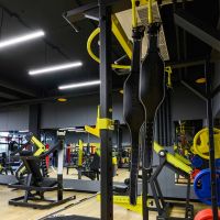 Пояс для тяжелой атлетики PROFI-FIT, XL