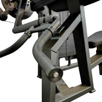 A2087 Бицепс / Трицепс сидя. Стек 100 кг