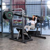 A610 Маятниковые приседания