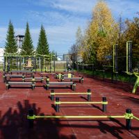 W360 GTO Брусья разноуровневые изогнутые (подходит ОВЗ) ZAVODSPORTA