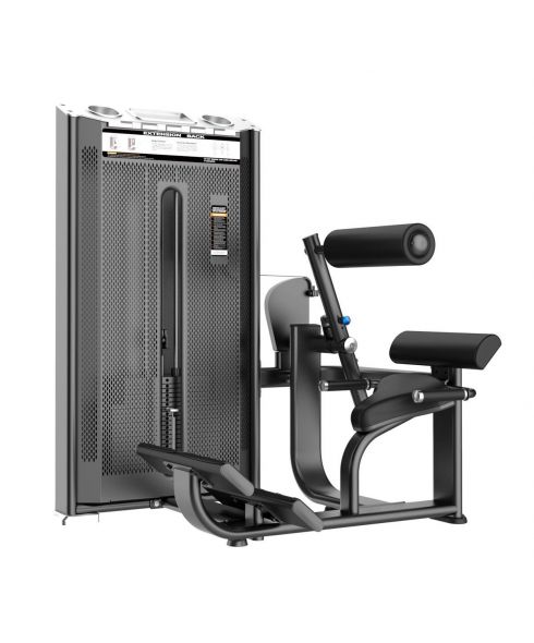 E7031A Разгибание спины. Стек 110 кг