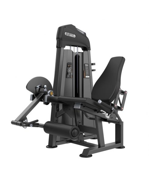 U3002C (E3002) Разгибание ног сидя